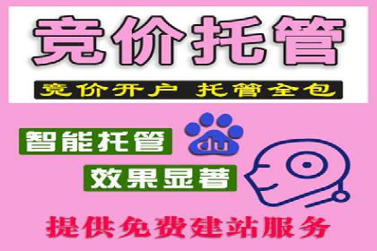 SEM外包在互联网行业的应用案例